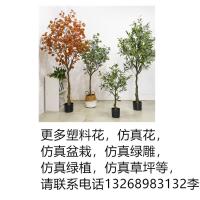 uploads/erp/collection/images/Home Garden/dgjiawang/XU0612539/img_b/XU0612539_img_b_5